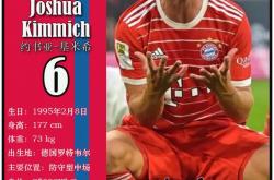 包含腰斩一轮后，德甲再现精彩对决，明星球员风采的词条