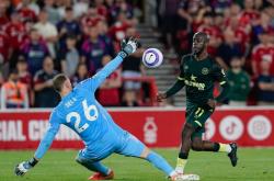 关于国际足球比赛中一只黑马队伍崭露头角的信息