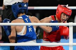 关于爱尔兰横扫比利时，拳击夺冠荣耀的信息