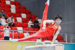 关于体操赛场上精彩纷呈动作惊艳的信息