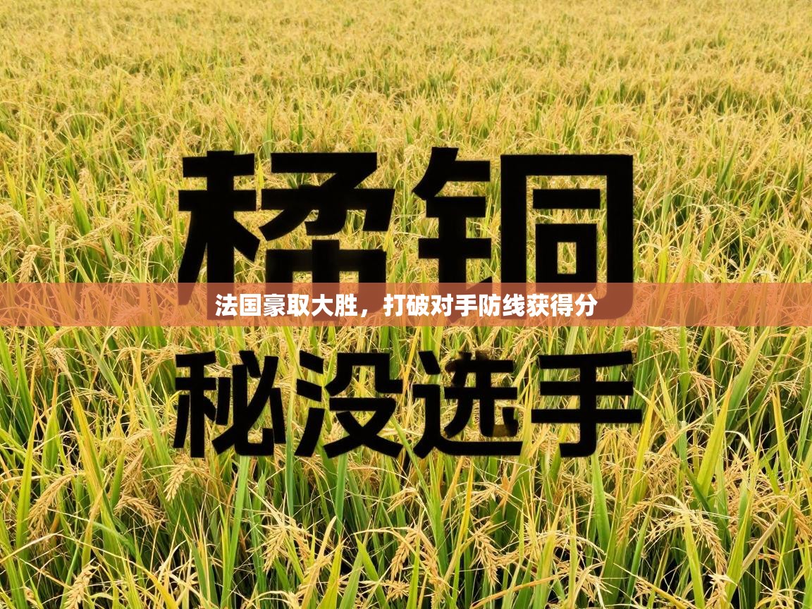 法国豪取大胜,打破对手防线获得分 第1张